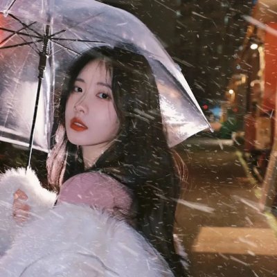 安妮日记：始末
